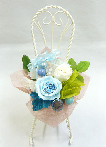 ��t���ԁ@�v���U�[�u�h�t�����[/�A�N�A�}�����`�F�A�[